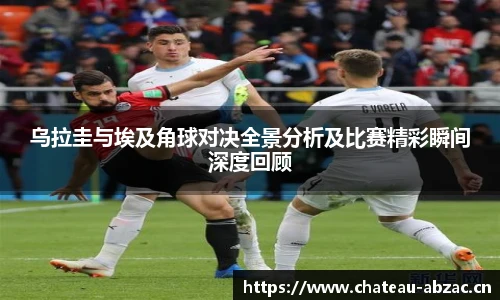熊猫体育